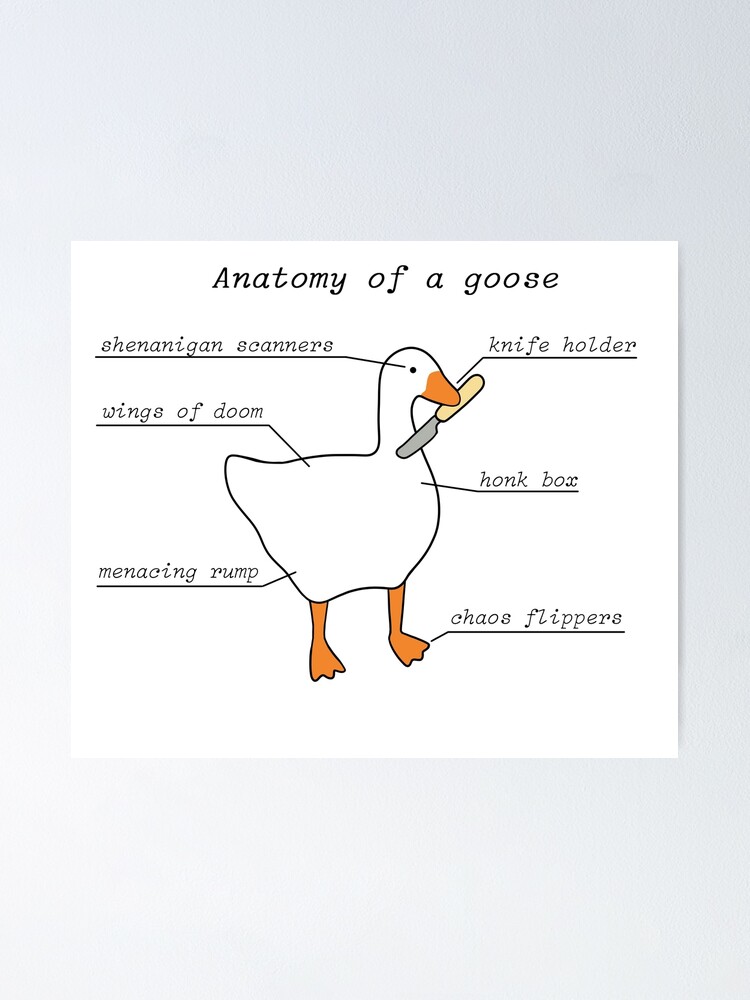 Goose Anatomy | ubicaciondepersonas.cdmx.gob.mx