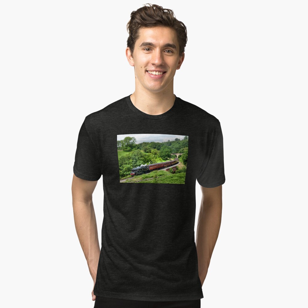 Item preview, Tri-blend T-Shirt designed and sold by SteveHClark.