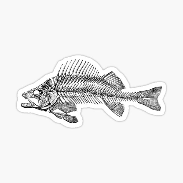 iSpchen Fish Skeleton Sticker Personalised Herringbone Sticker