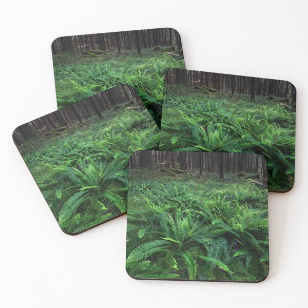Item preview, hard ferns in the forest designed and sold by codaimages.