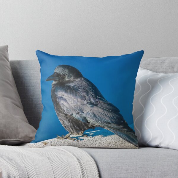 Item preview, Waiting for Inspiration designed and sold by Cathryn Wellner.