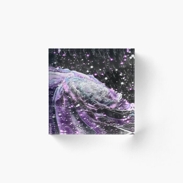 Elastinior Star Shower Acrylic Block