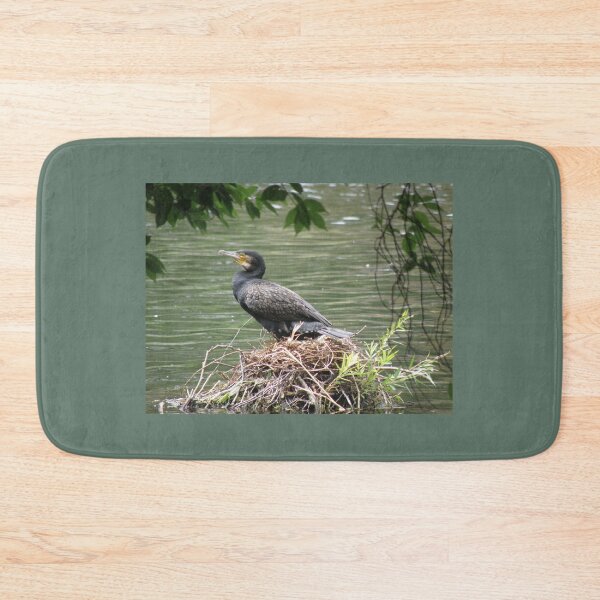 Item preview, Cormorant on a Nest Photograph designed and sold by naturegallery.