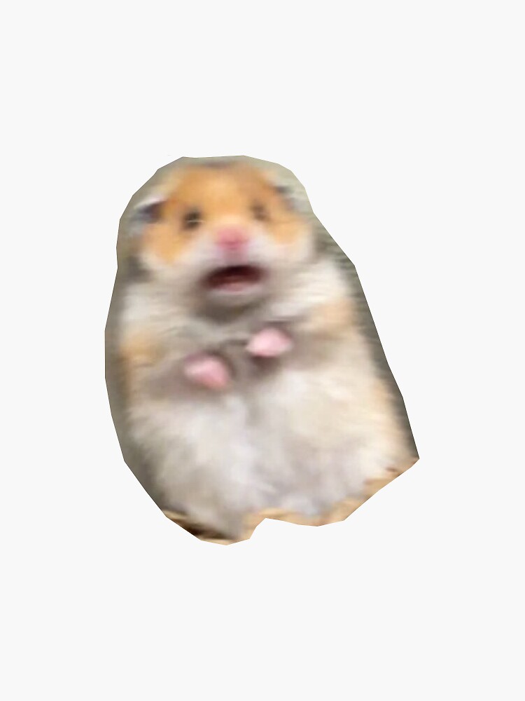 scared-hamster-meme-sticker-for-sale-by-annalaimo-redbubble