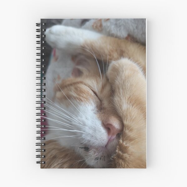 Item preview, Sleeping designed and sold by paws4life.