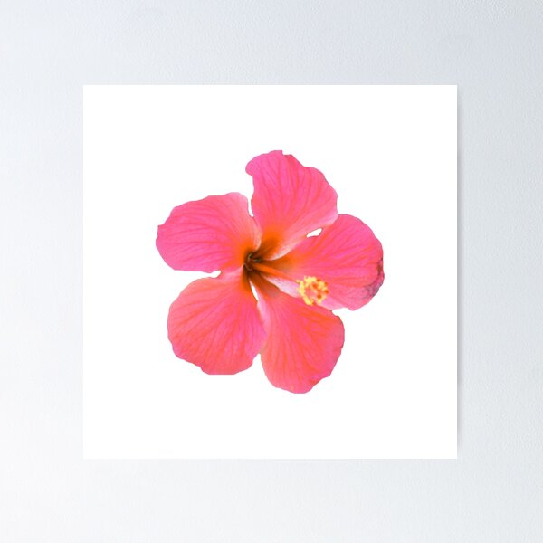 Aperçu de l'œuvre Fleur rose créée et vendue par creativedits.