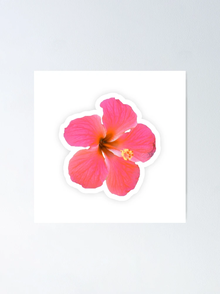 Thumbnail 1 of 3, Poster, Pink Flower Sticker designed and sold by creativedits.