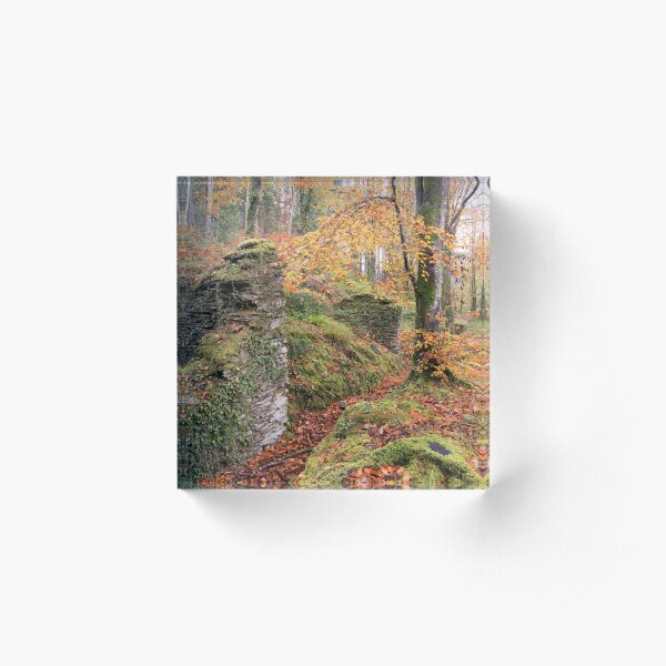 IDLESS MONASTERY Acrylic Block