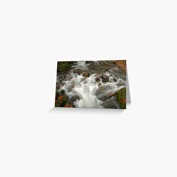 Item preview, Williams Creek designed and sold by Lee LaFontaine.