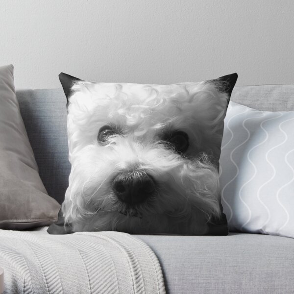 Bichon Frise - Black and White Throw Pillow