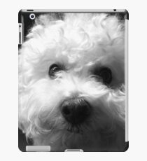 Bichon Frise - Schwarz und Weiß iPad-Hülle & Klebefolie