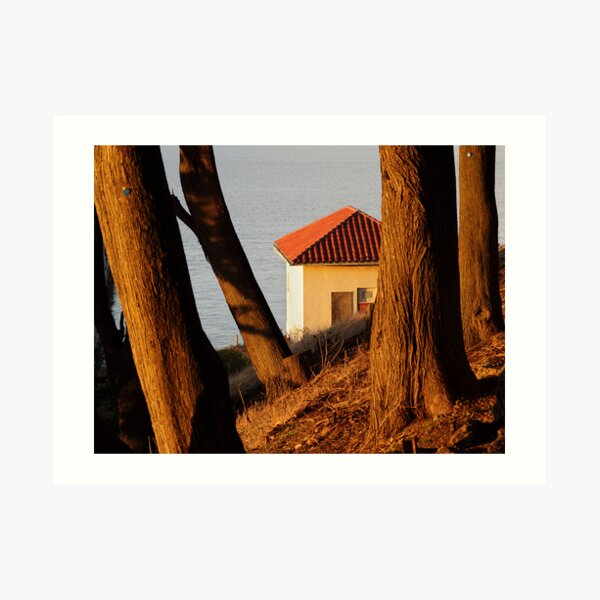 Behind trees Art Print