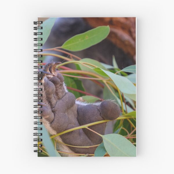 Item preview, Koala's adorable little paw with sharp claws  designed and sold by VadimK.