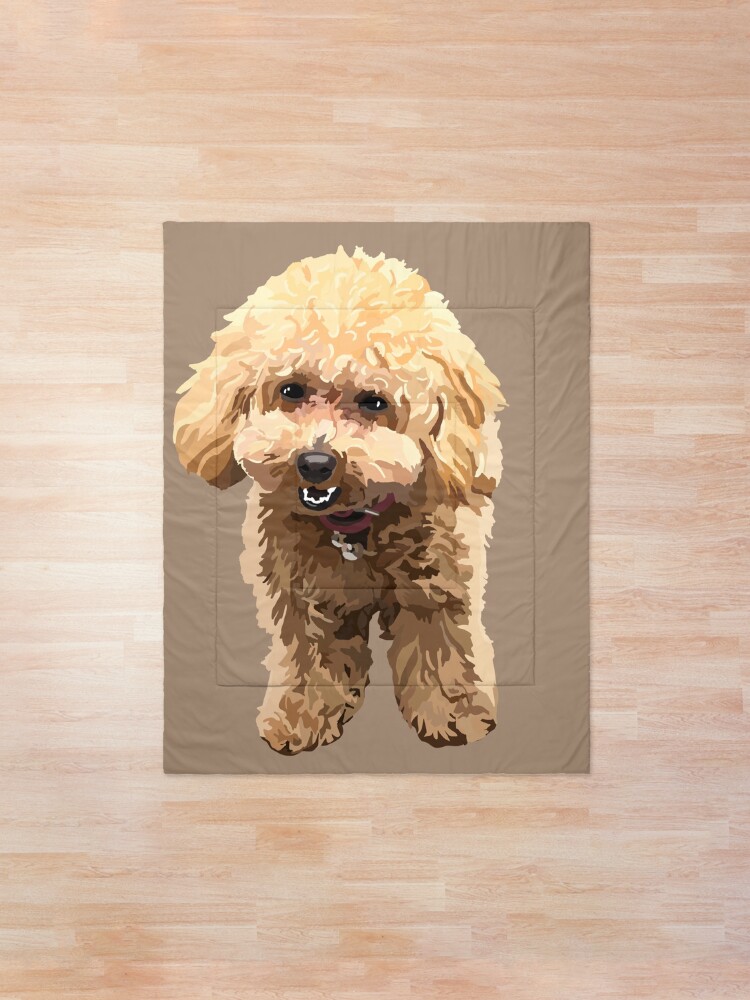dog comforter toy