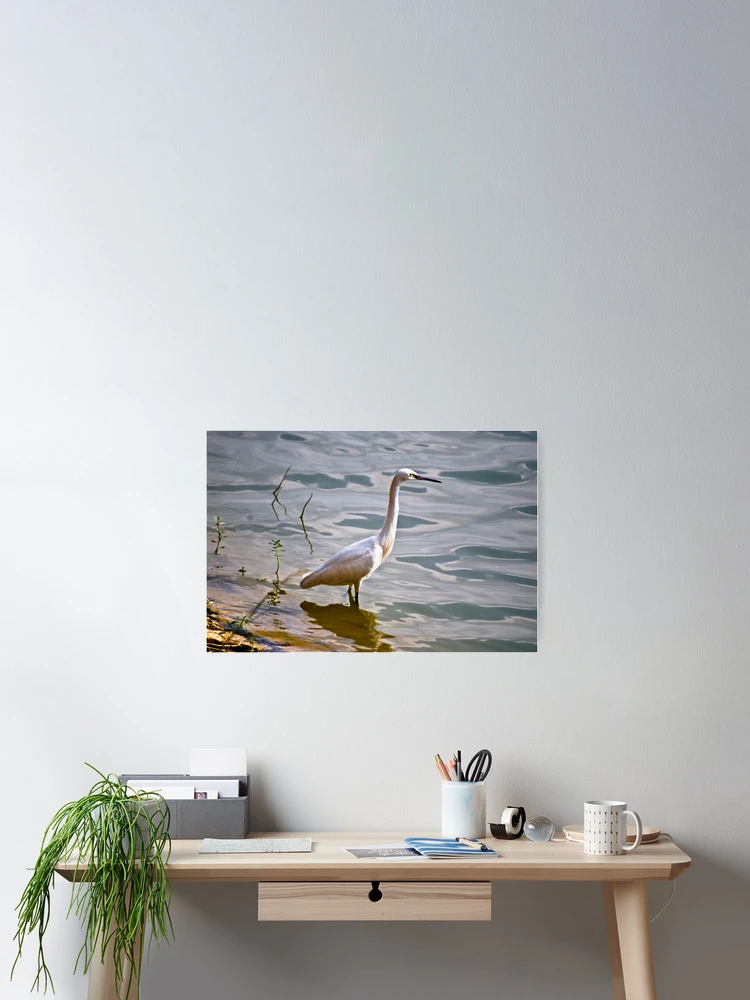 Thumbnail 2 of 3, Poster, Poise designed and sold by Ravi Ghattamaneni.