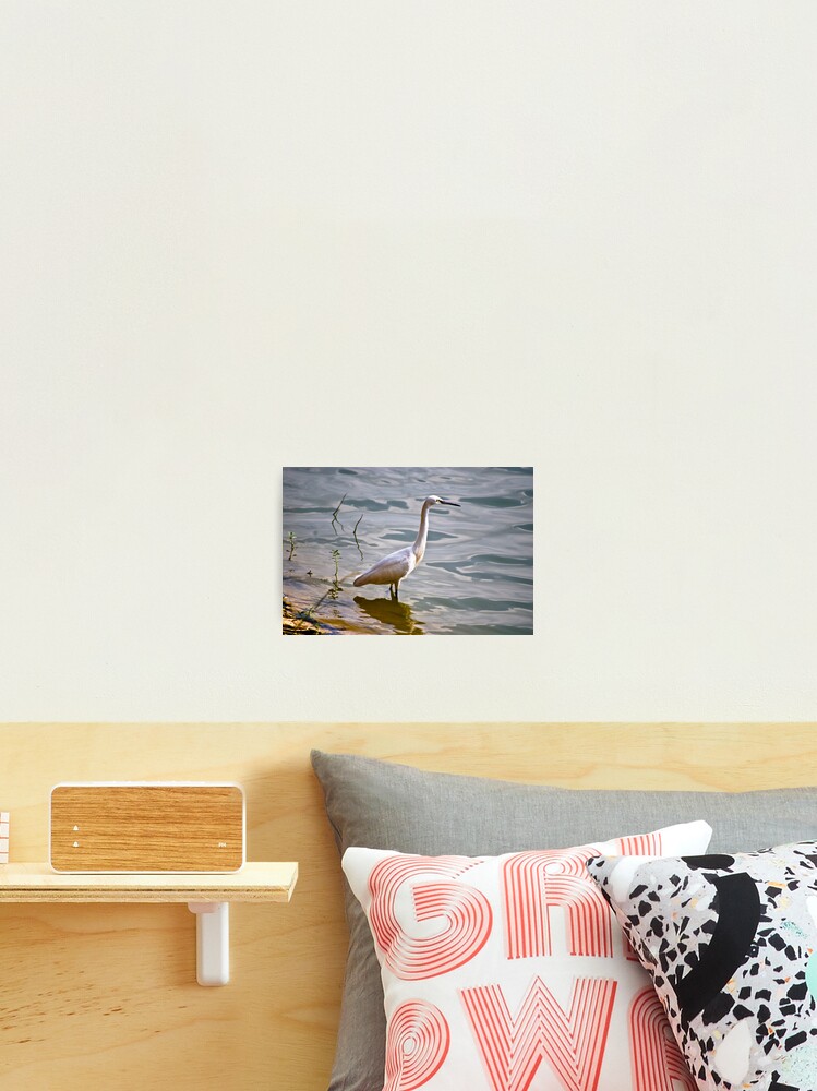 Thumbnail 2 of 3, Photographic Print, Poise designed and sold by RaviChandra.