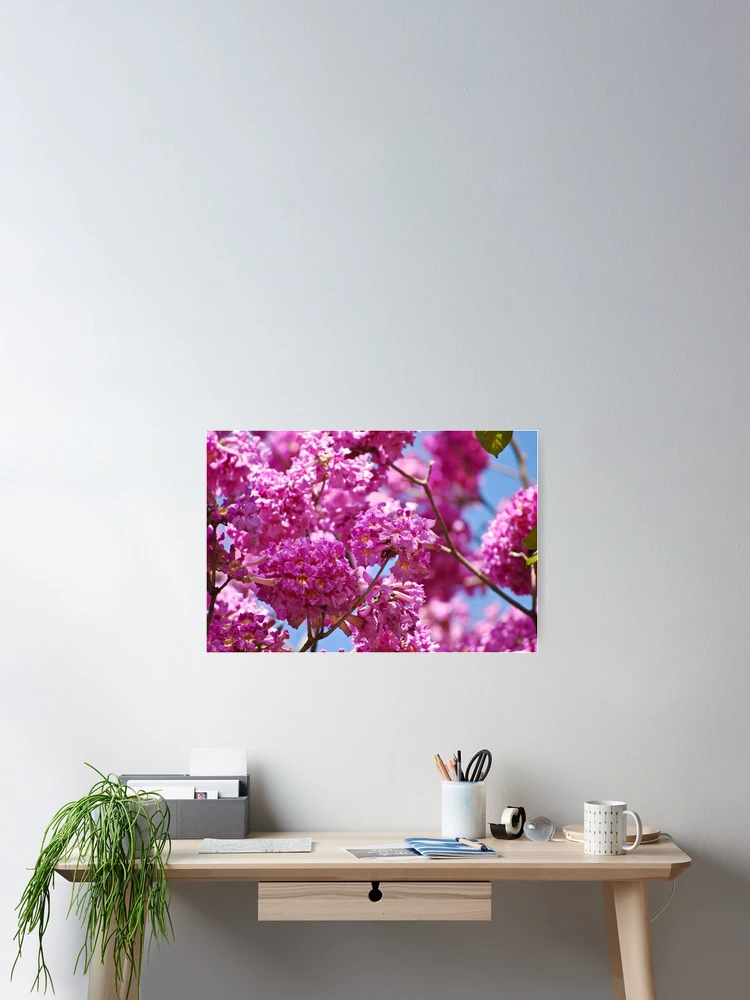 Thumbnail 2 of 3, Poster, Blooming Summer designed and sold by Ravi Ghattamaneni.