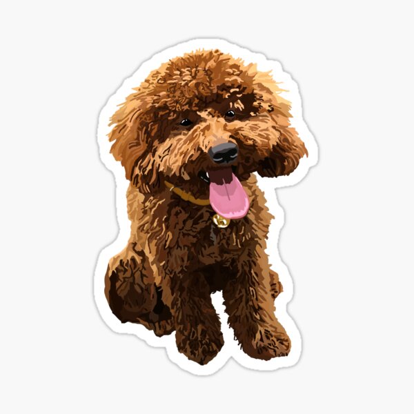Ollie the biggest toy poodle Sticker