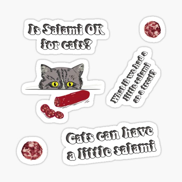 is-salami-ok-for-cats-cats-can-have-a-little-salami-meme-sticker