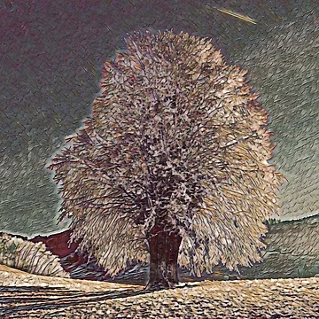 Artwork thumbnail, Tree In a Field by Vikingstaad