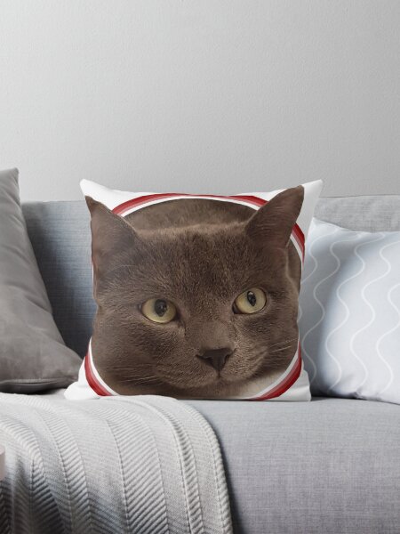 Artikel-Vorschau von Foto süße Katze, designt und verkauft von honksunited.