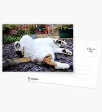 Dignified Postcards