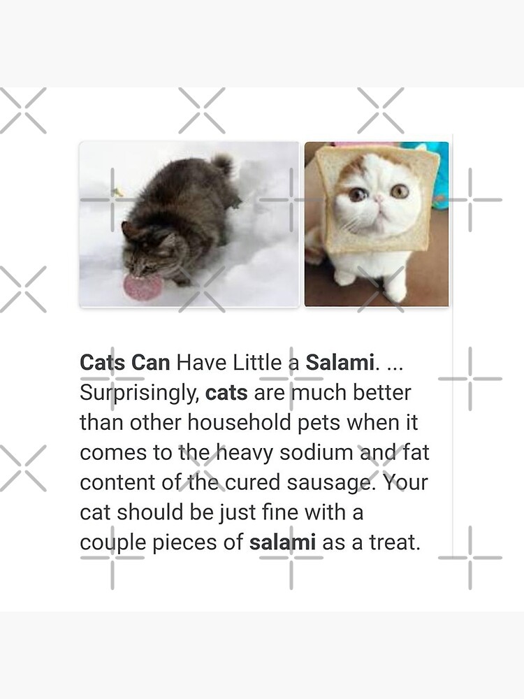 Is Salami Ok For Cats Cats Can Have A Little Salami Meme Art Board Print By The Goods Redbubble