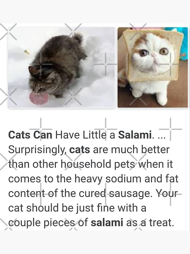 Pegatina «¿Salami está bien para los gatos? Los gatos pueden tener un