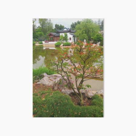 Chinese Garden Art Board Print