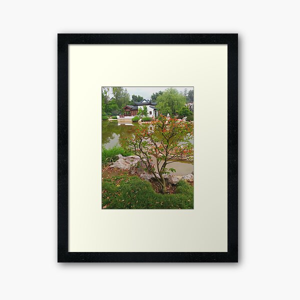 Chinese Garden Framed Art Print