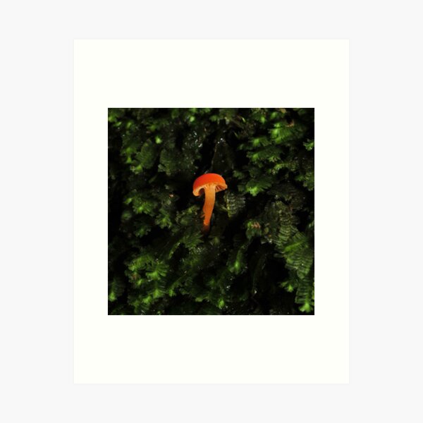 Item preview, lost in a see of moss designed and sold by Colin12.