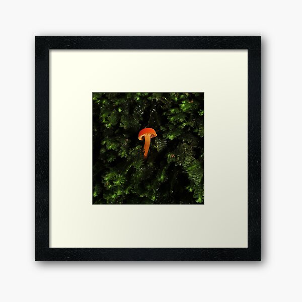 Item preview, lost in a see of moss designed and sold by Colin12.