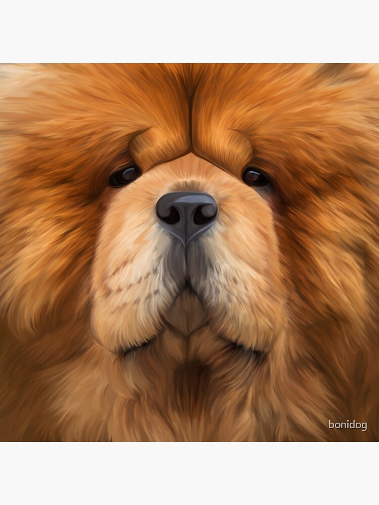 Bolsa De Tela Dibujo Perro Chow Chow De Bonidog Redbubble