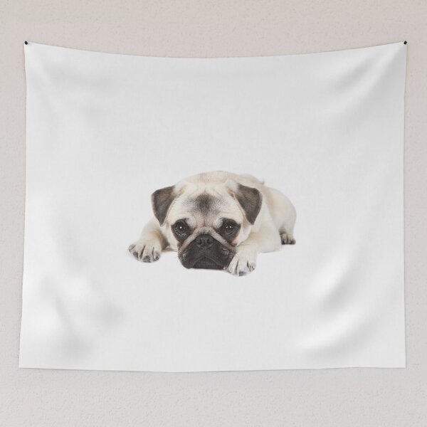 Item preview, Sleepy Piglet the Pug designed and sold by mlorenz.