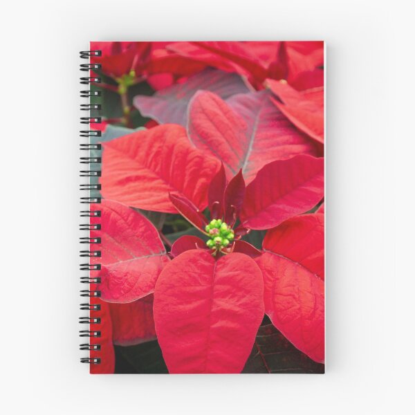 Item preview, Poinsettia Roja para las fiestas designed and sold by AvocaSpring.