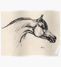the arabian horse drawing Poster