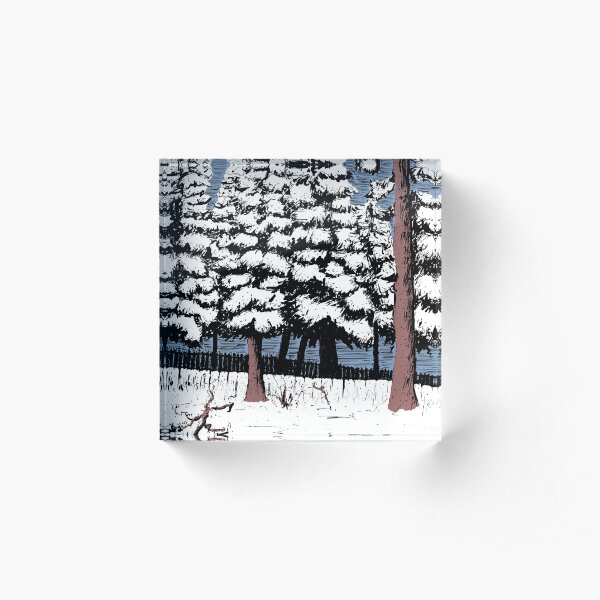 Backyard Snowfall Acrylic Block