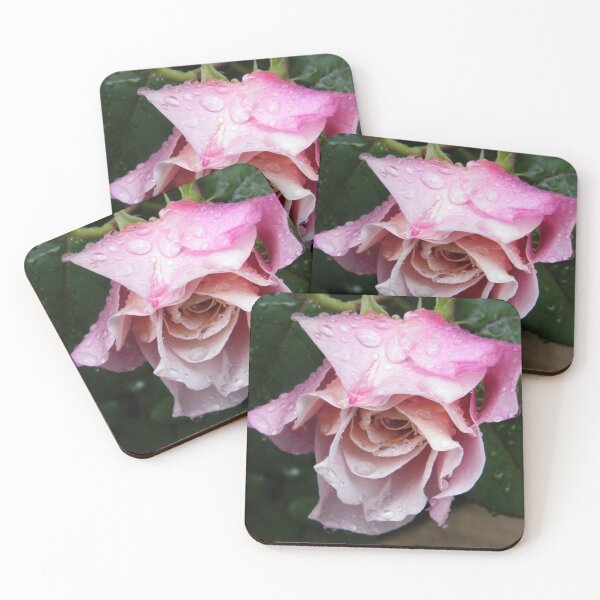 Item preview, Jersey City, New Jersey, Flower Close-Up, Van Vorst Park designed and sold by lenspiro.