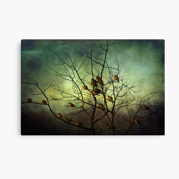 Sunning Theirseleves Canvas Print
