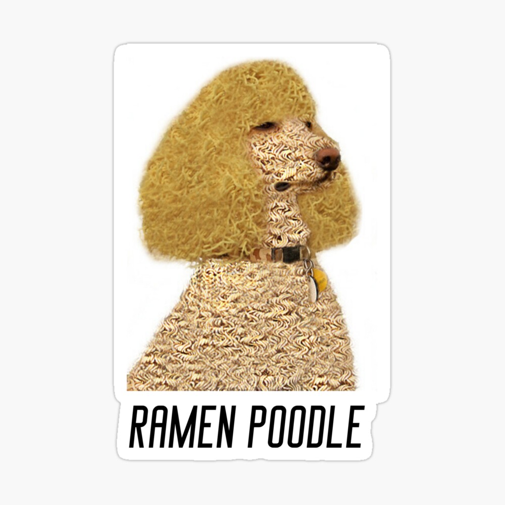 Ramen Noodle Poodle\