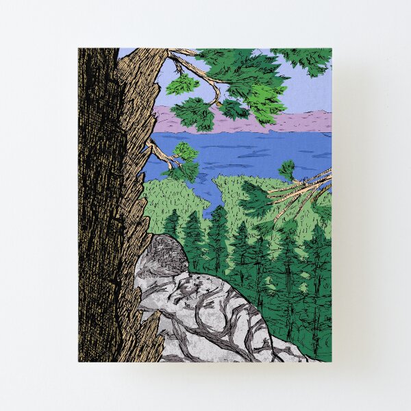 View from Maggies Peaks Canvas Mounted Print