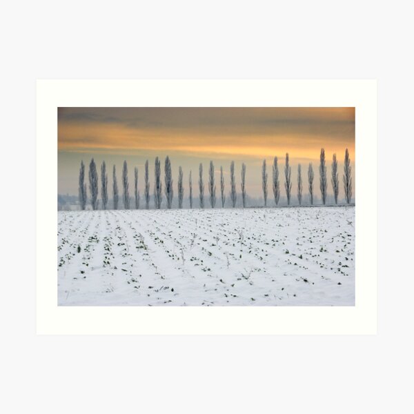 Water House Farm, Layham Art Print