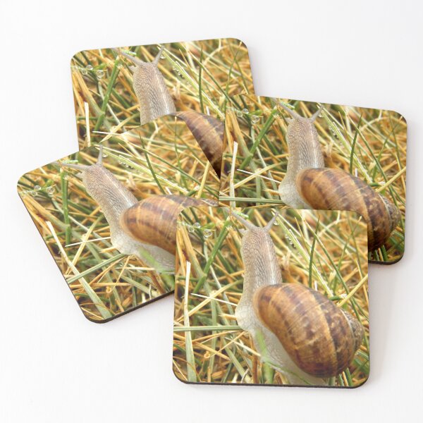 Item preview, Sweet Orbs designed and sold by NatureRaven.