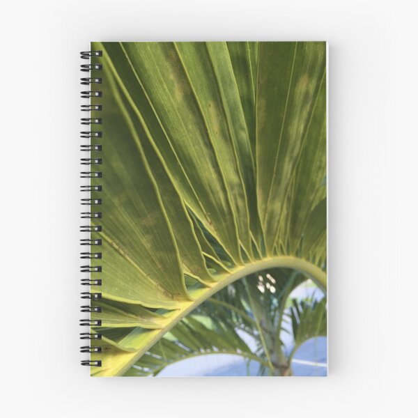 Item preview, Palm Tree  designed and sold by Anthonycola21.