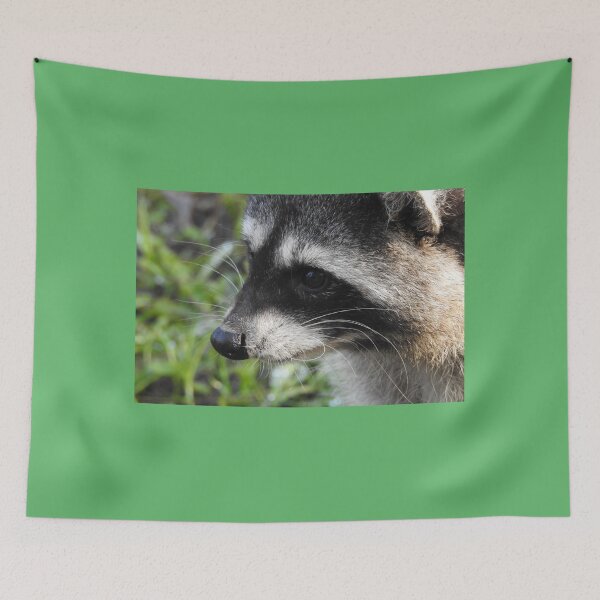 Item preview, Intent Raccoon designed and sold by RichImage.