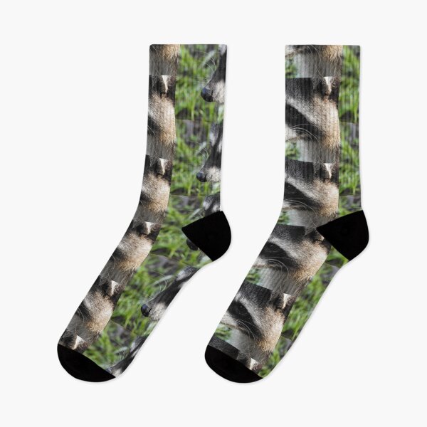 Item preview, Intent Raccoon designed and sold by RichImage.