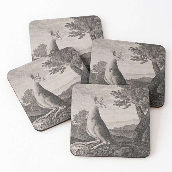 Item preview, Vintage kangaroo print. (1790 - 1800)  designed and sold by anmm.