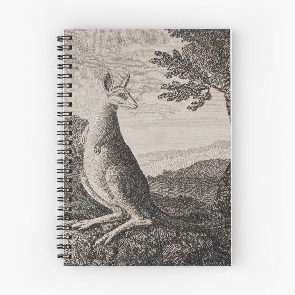 Item preview, Vintage kangaroo print. (1790 - 1800)  designed and sold by anmm.