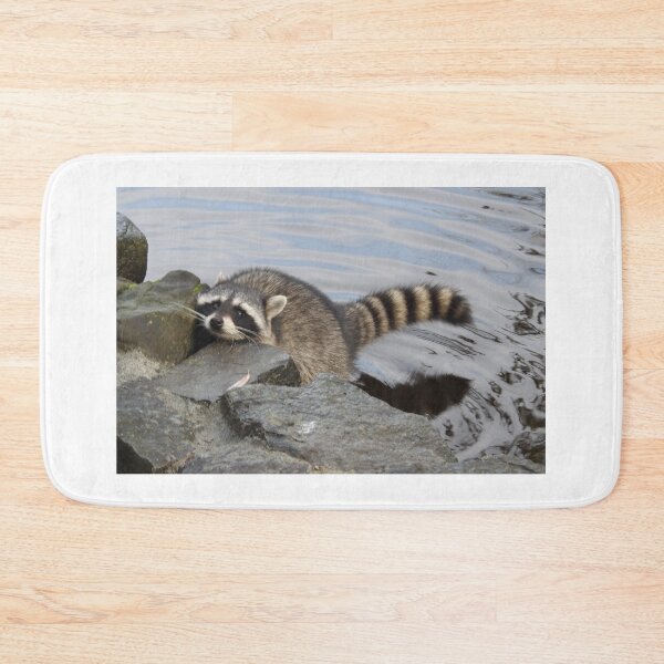 Item preview, hi have any food for a hungry raccoon? designed and sold by RichImage.