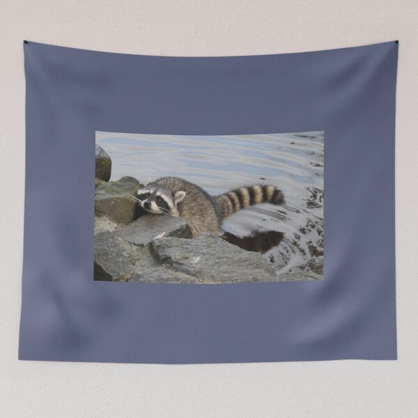 Item preview, hi have any food for a hungry raccoon? designed and sold by RichImage.